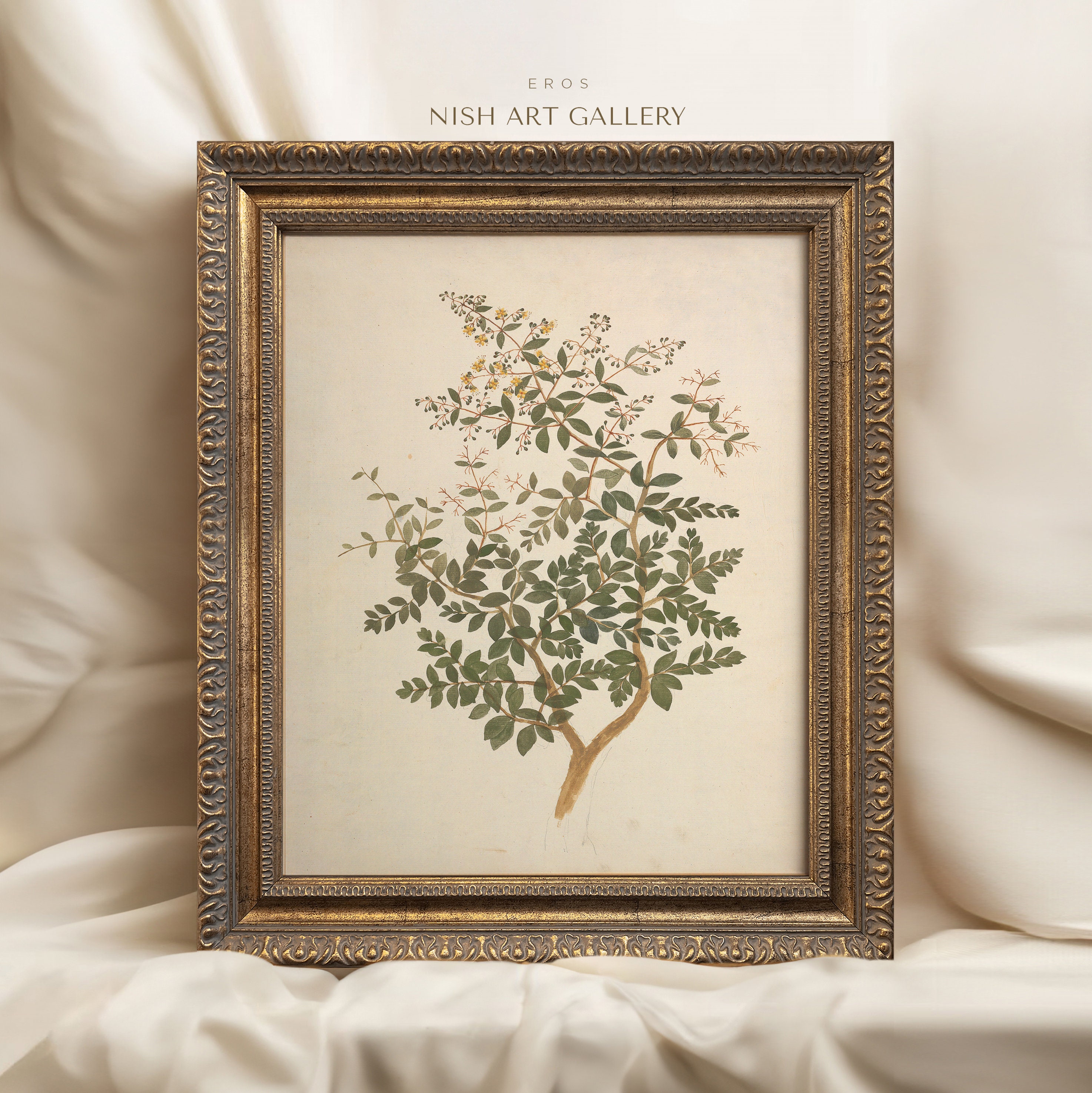 額装された植物画：ヴィンテージ風の農家風キッチン装飾、装飾的な