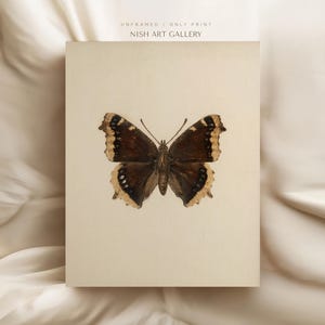 May include: A print of a brown and cream butterfly with a black border on a cream background. The print is titled "UNFRAMED / ONLY PRINT NISH ART GALLERY".