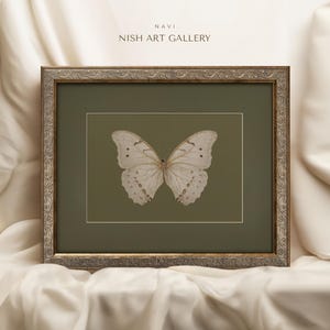 Framed Butterfly Art, Vintage Art Print, Framed Wall Art, Green Matted, Home Decor, Animal Wall Decor, Vintage Wall Art #478