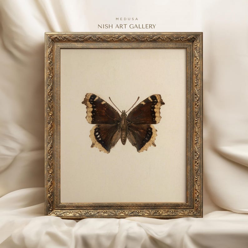 May include: A framed print of a brown and white butterfly with a gold ornate frame. The print is titled "MEDUSA NISH ART GALLERY".