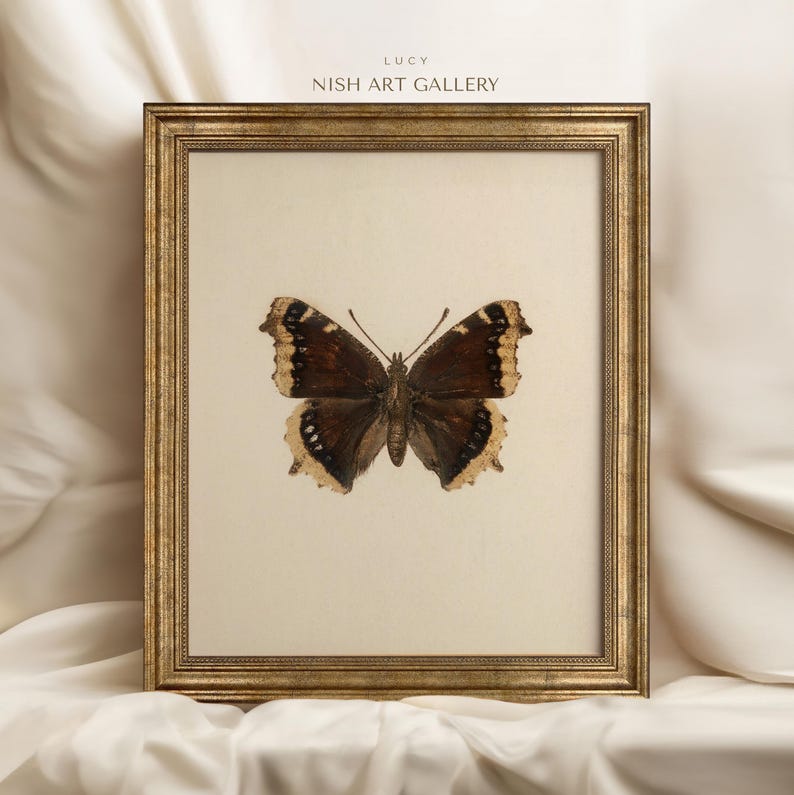 May include: A framed print of a brown and white butterfly with a gold frame. The print is titled "Lucy" and is from the "Nish Art Gallery".