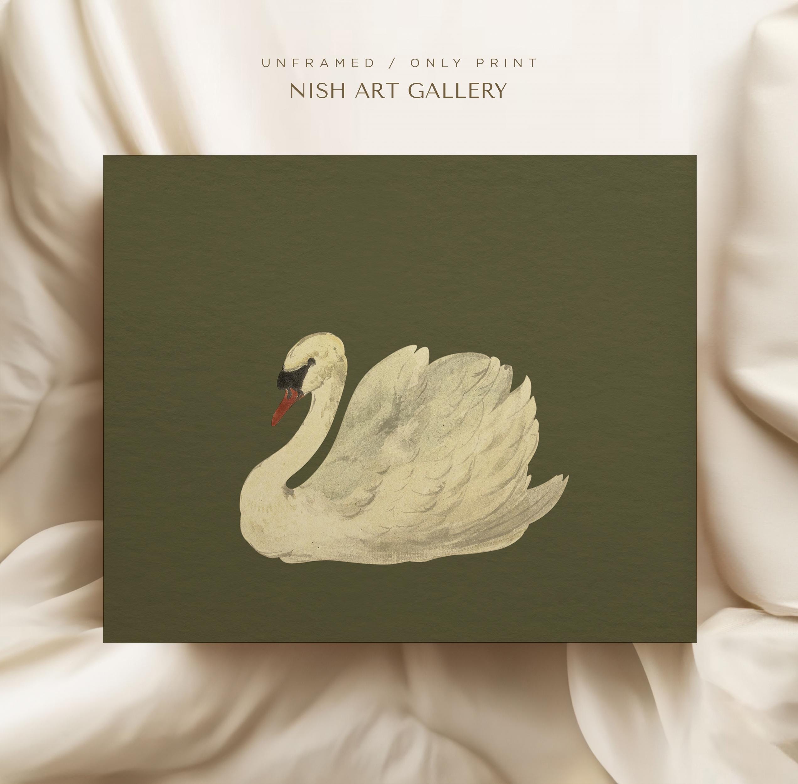 Framed Vintage Swan Art Print: Green Tones, Antique Animal Decor