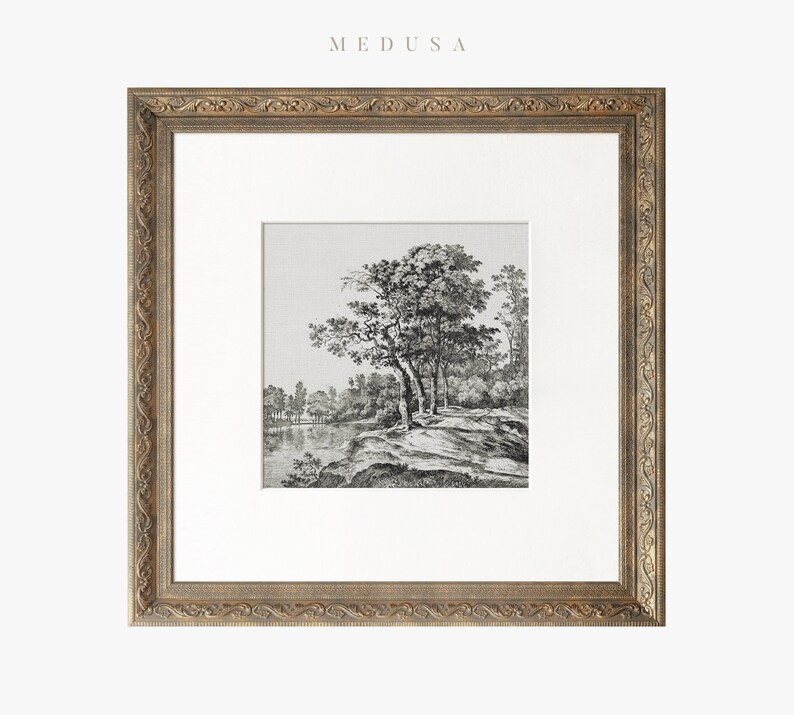 May include: A black and white print of a landscape scene with trees and a river. The print is framed in a gold ornate frame.