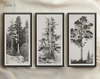 Arte vintage enmarcado, conjunto de impresión de pared de árbol vintage de 3, dibujo de árbol, arte de pared del bosque, arte de boceto vintage, boceto de árbol, impresión botánica #119