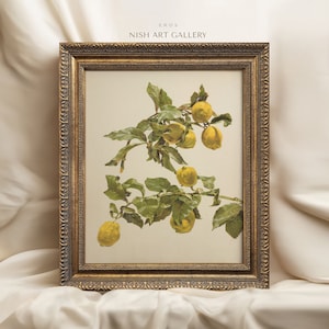 Vintage Framed, Vintage Lemon Print, Antique Kitchen Still Life Painting, Printable Art, Wall Art, Ornate Gold Frame, Housewarming Gift #221