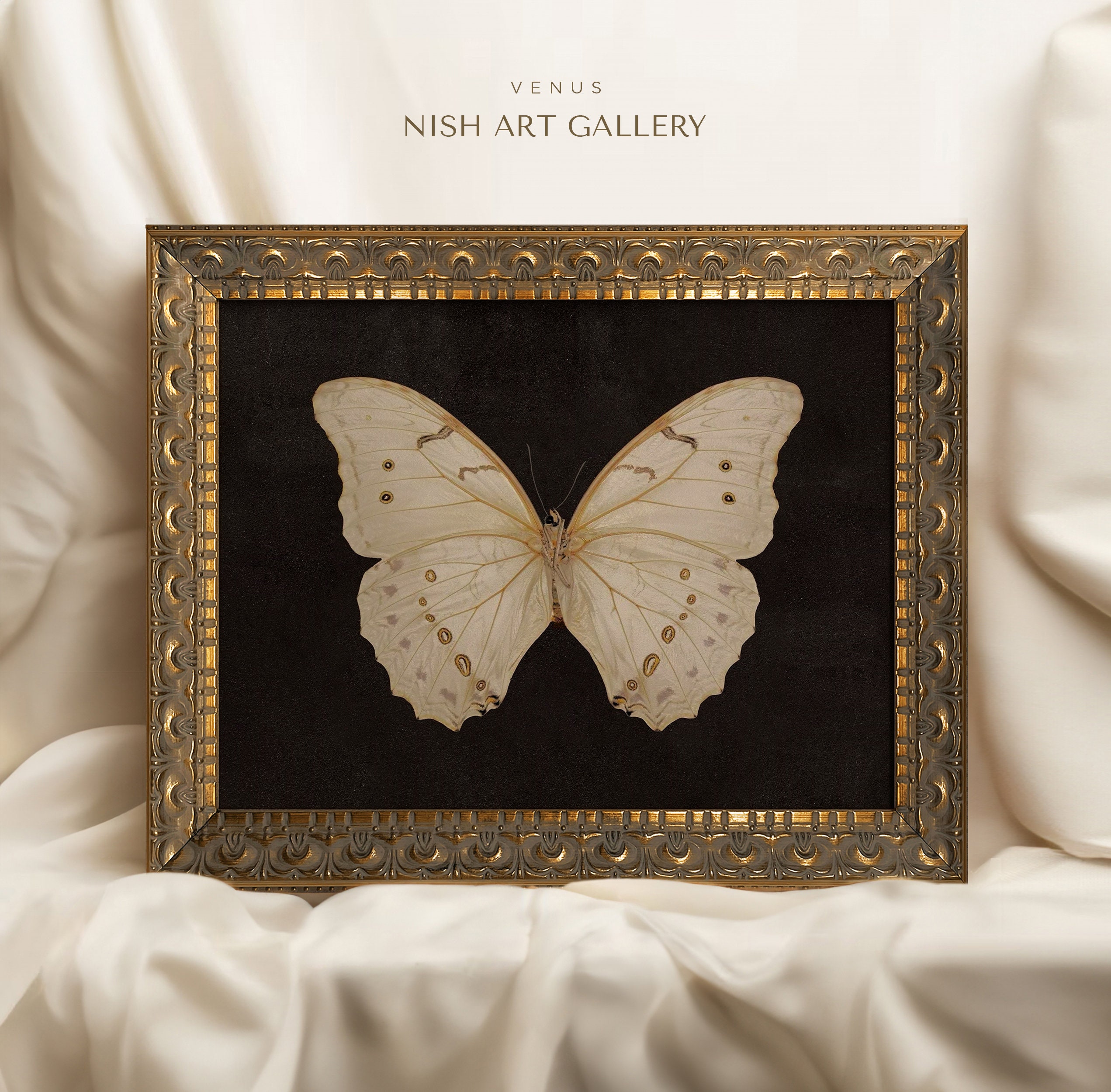 銅版画大作品　Butterfly　effect 銅版画大作品 Butterfly effect 【公式通販】