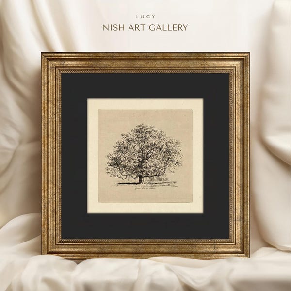 Tree Sketch Art Print: Gold Frame, Black Mat, Vintage Forest Drawing #614