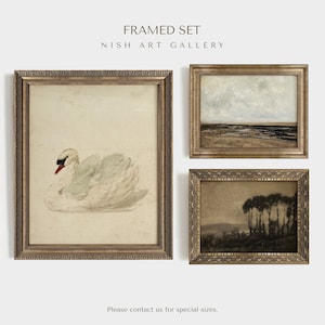 Set di 3 stampe vintage incorniciate: quadri da parete in stile rustico per gallerie d'arte.