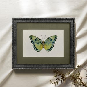 Vintage Framed, Butterfly Prints, Cottagecore Wall Decor, Vintage Animal Art, Ornate Black Frame, Nursery Wall Art, Housewarming Gift #148