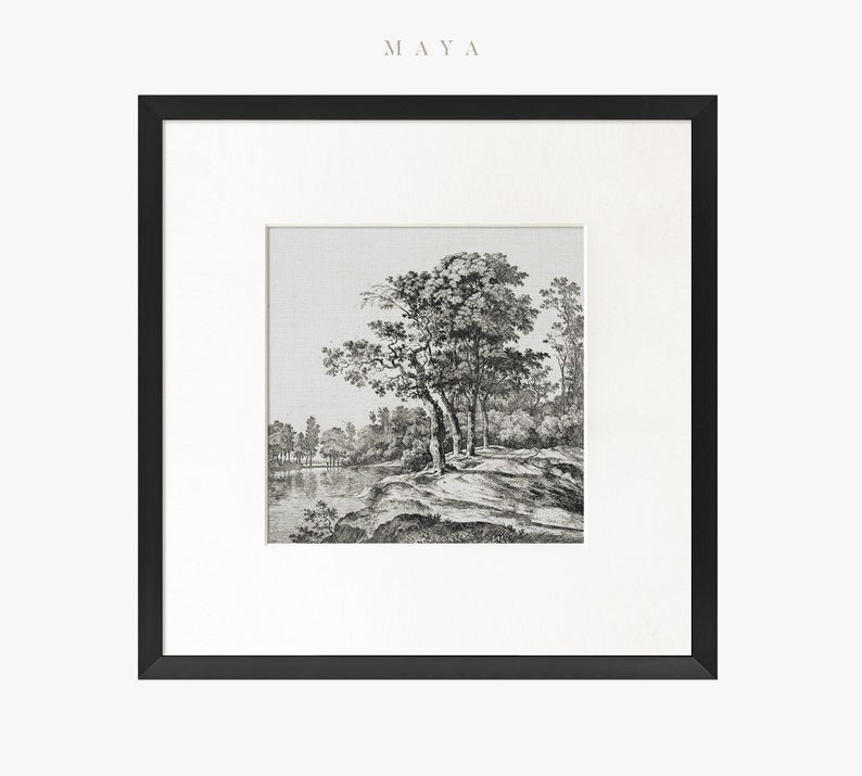 May include: A black and white print of a landscape with trees and a river. The print is framed in a black frame.