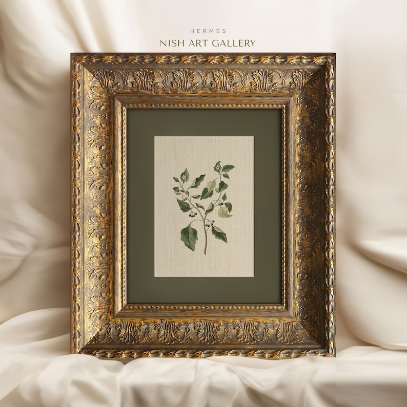 Framed Botanical Art Print: Vintage Flower Wall Decor #481 - Etsy