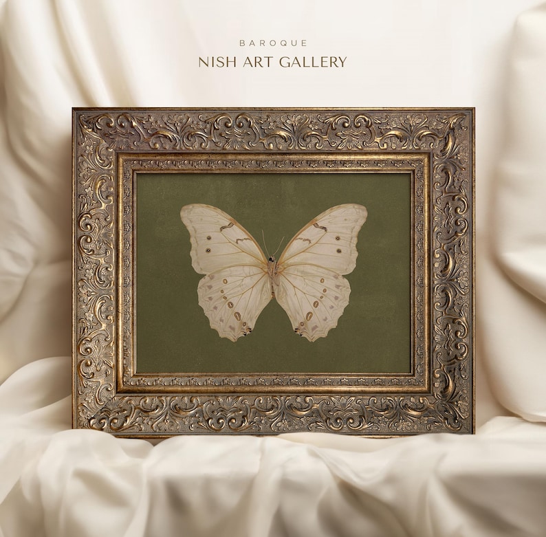 Vintage Butterfly Print – Natural History Specimen Art – Elegant ...