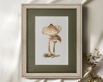 Vintage Art Framed, Mushroom Wall Art, Cottagecore Wall Decor, Nursery Wall Art, Cottage Home Decor #101