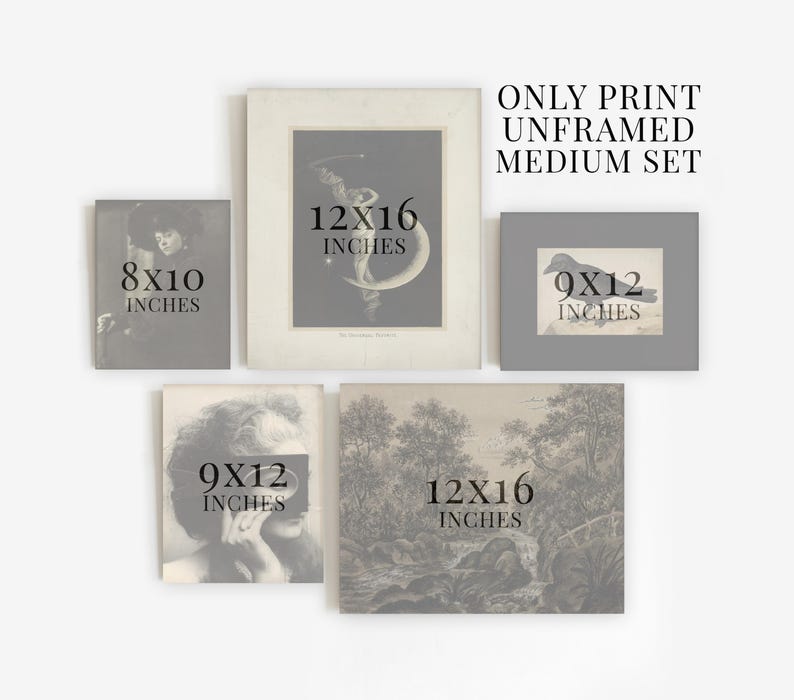 Pu&ograve; includere: Set di quattro stampe non incorniciate in bianco e nero. Le stampe mostrano una donna, un uccello, una scena di bosco e una donna con una tazza. Le stampe sono etichettate con le loro dimensioni in pollici: 8x10, 9x12, 12x16.