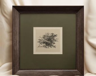 Vintage Tree Sketch Art Print: Forest Landscape in Square Gold