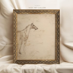 Framed Vintage Print, Horse Sketch, Bedroom Decor, Nursery Art Print, Animal Art, Wall Hanging, Transitional Design, Housewarming Gift #155