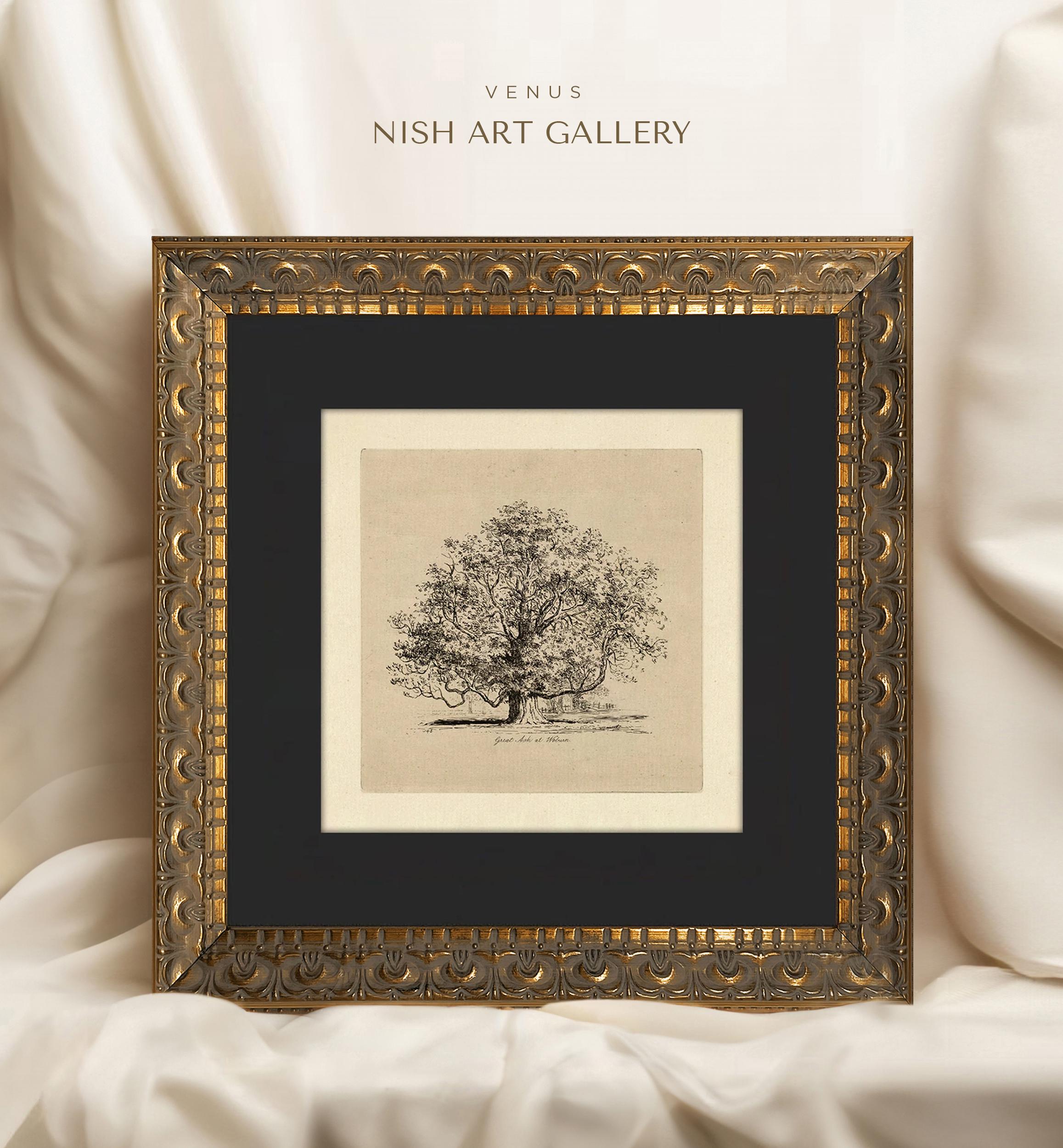 Tree Sketch Art Print: Gold Frame, Black Mat, Vintage Forest