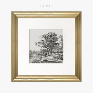 May include: A black and white framed print of a landscape with trees and a river. The print is in a gold frame.