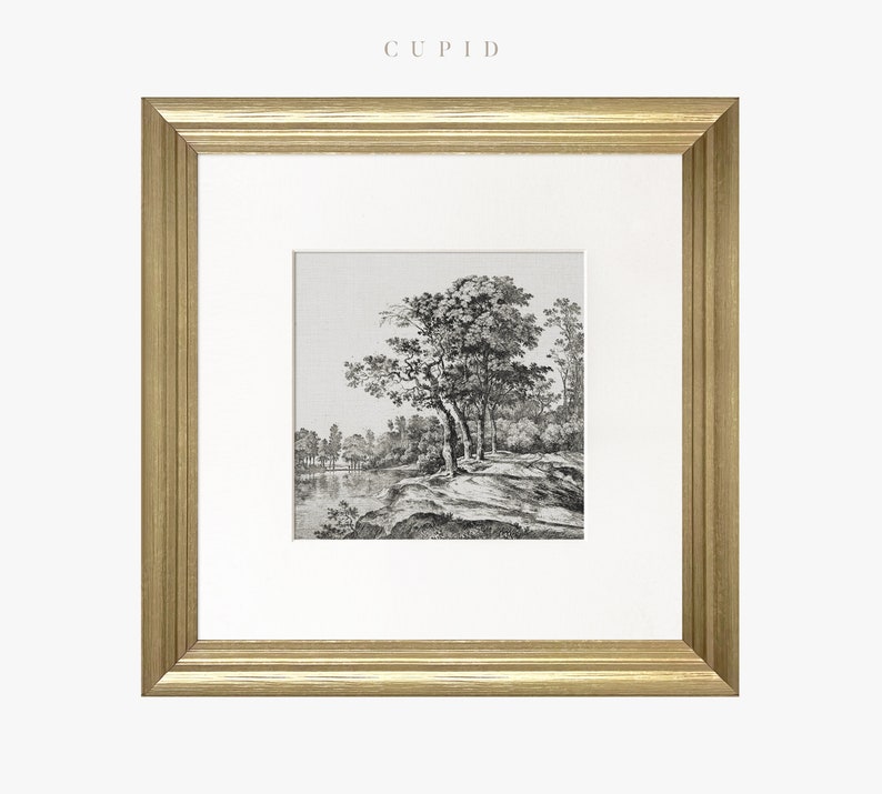 May include: A black and white framed print of a landscape with trees and a river. The print is in a gold frame.