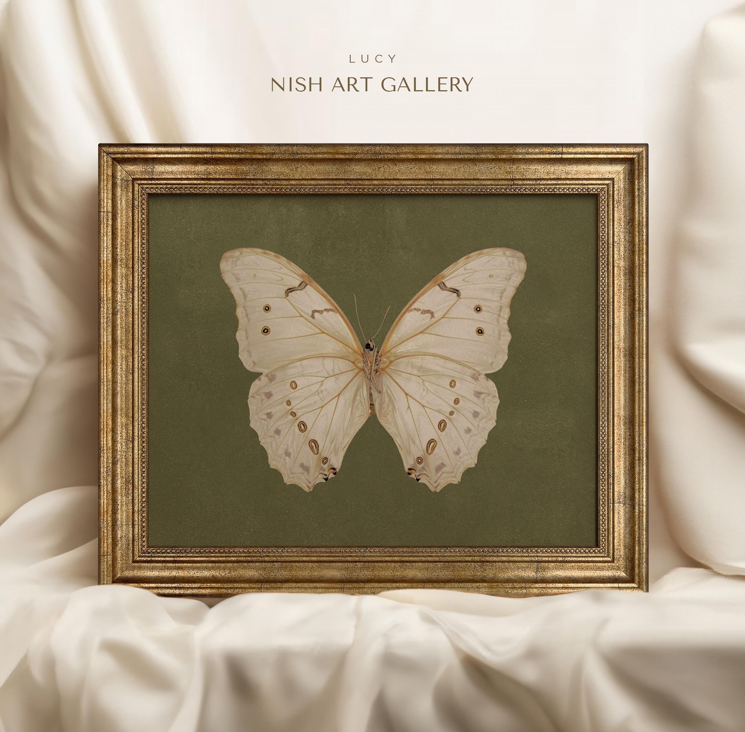 Vintage Butterfly Print – Natural History Specimen Art – Elegant ...