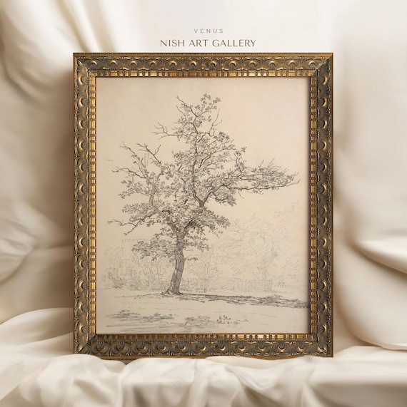 Framed Tree Sketch Print: Vintage Style Wall Art #42 - Etsy