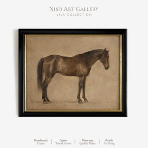May include: A framed art print featuring a brown horse standing in profile against a neutral tan background. The artwork is enclosed in a black wooden frame with a thin gold inner border. Text at the top reads NISH ART GALLERY VIVA COLLECTION.
