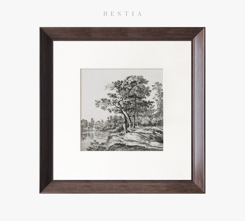 May include: A framed black and white drawing of a landscape with trees and a river. The drawing is in a dark brown frame.