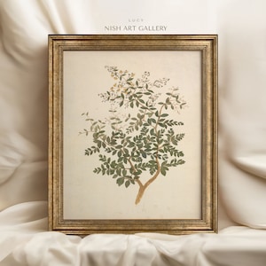 Vintage Prints Framed, Farmhouse Vintage Art, Botanical Kitchen Decor, Giclee Wall Art Print, Gift for Girlfriend, Ornate Gold Framed #123