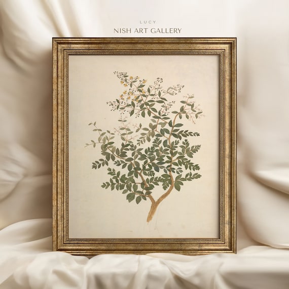 額装された植物画：ヴィンテージ風の農家風キッチン装飾、装飾的な