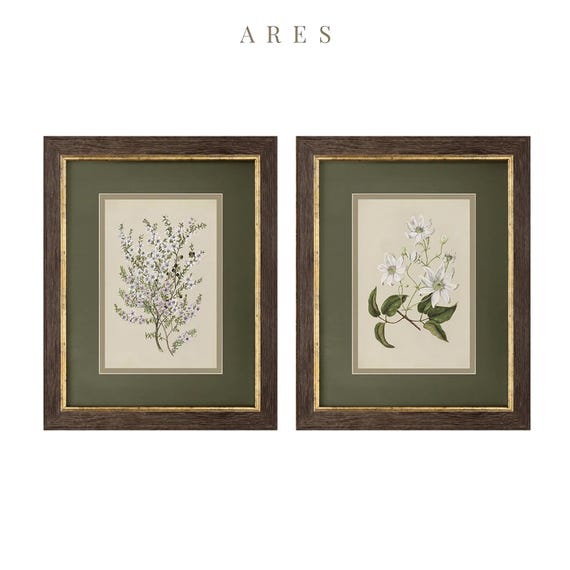 植物画 額装品 額装済み植物画プリントセット：金箔フレーム、花柄の壁飾り #328