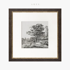 May include: A black and white framed print of a landscape scene with a large tree in the foreground and a river in the background.