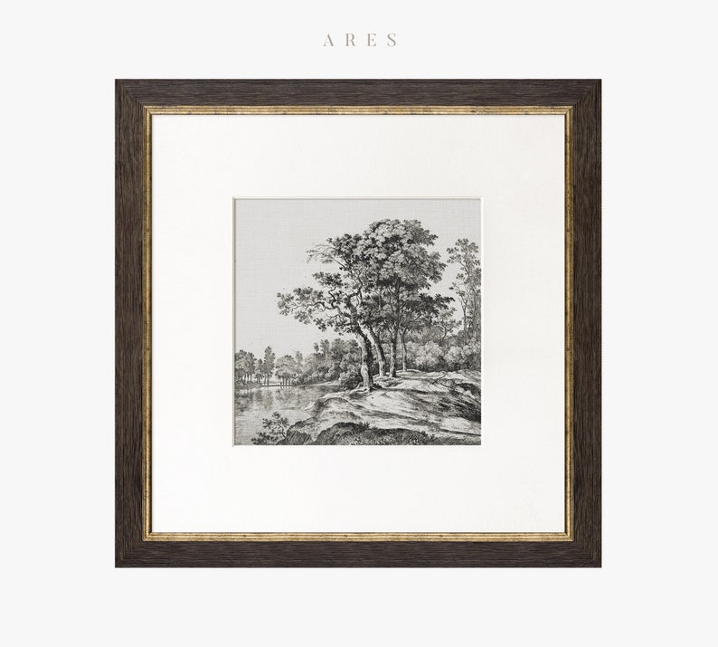 May include: A black and white framed print of a landscape scene with a large tree in the foreground and a river in the background.
