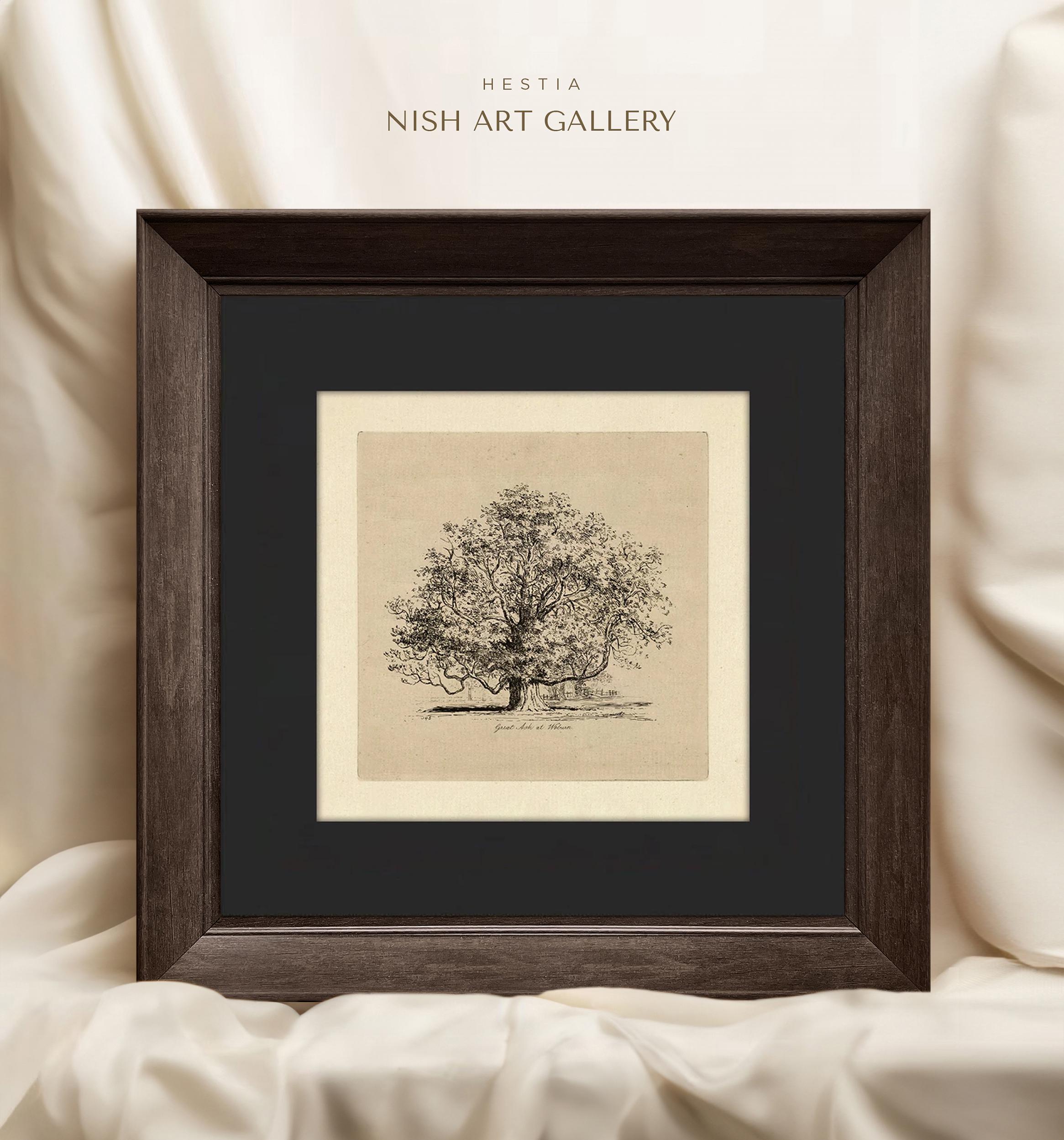 Tree Sketch Art Print: Gold Frame, Black Mat, Vintage Forest