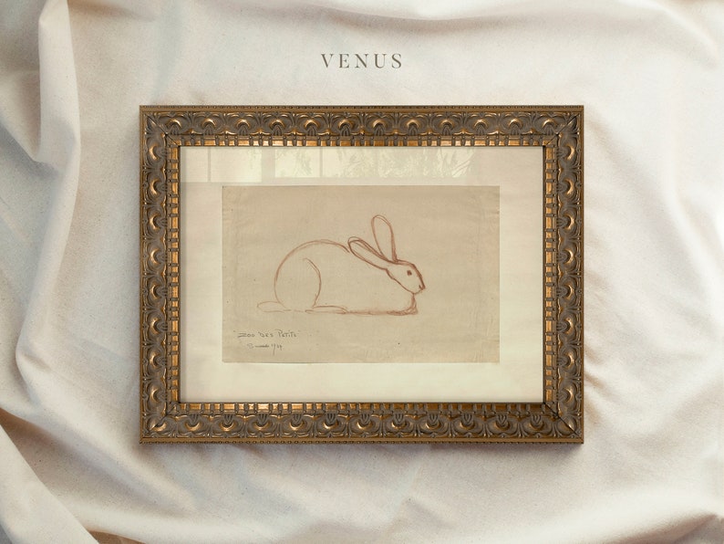 Vintage Art Framed, Rabbit Drawing, Antique Sketch, Vintage Animal Art, Ornate Gold Framed, Vintage Wall Decor, Housewarming Gift 64 image 8