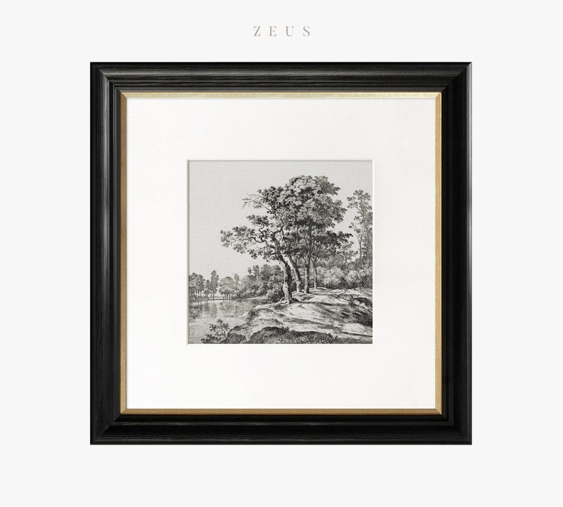 May include: Black and white framed print of a landscape with trees and a river. The print is titled "ZEUS".