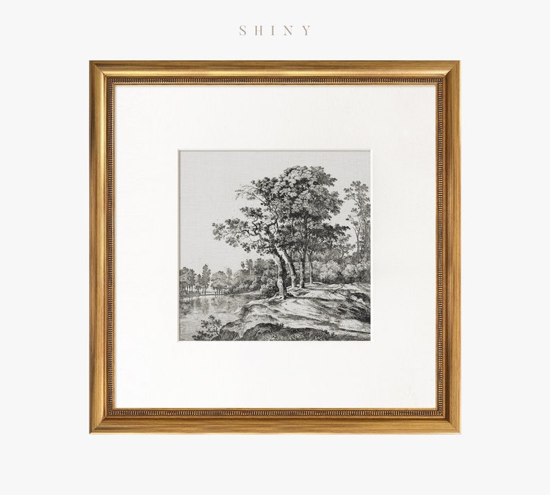 May include: A black and white framed print of a landscape drawing with trees and a lake. The print is in a gold frame.
