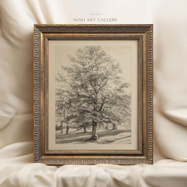 Vintage Tree Sketch: Landscape Drawing in Gold Frame #177