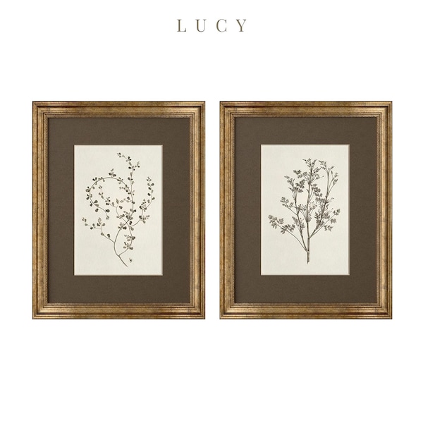 Framed Blossom Print: Gold Foil Frame, Botanical Wall Art #336