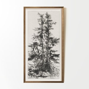 May include: A framed black and white drawing of three trees with bare branches against a light background.