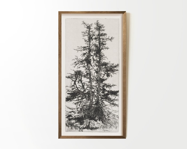 May include: A framed black and white drawing of three trees with bare branches against a light background.