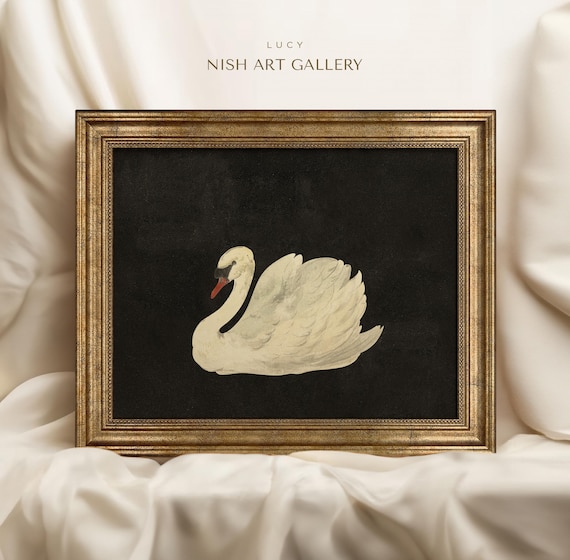 Framed Black Swan Art Print: Antique Illustration, Vintage Decor #100