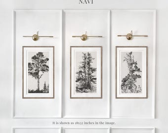 Sztuka w ramie, Vintage Tree Wall Print Set of 3, Rysunek drzewa, Sztuka ścienna z lasem, Sztuka szkicu w stylu vintage, Szkic drzewa, Wydruk botaniczny nr 144