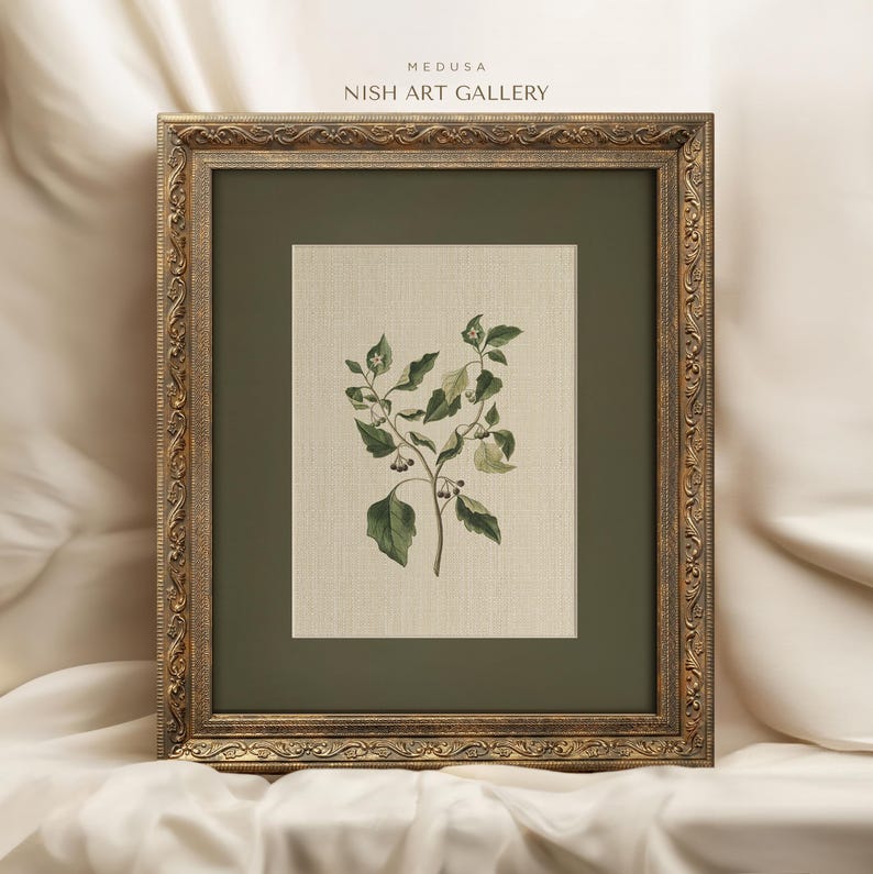 Framed Botanical Art Print: Vintage Flower Wall Decor #481 - Etsy