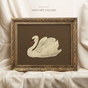 Framed Swan Art Print: Vintage Nursery Wall Decor