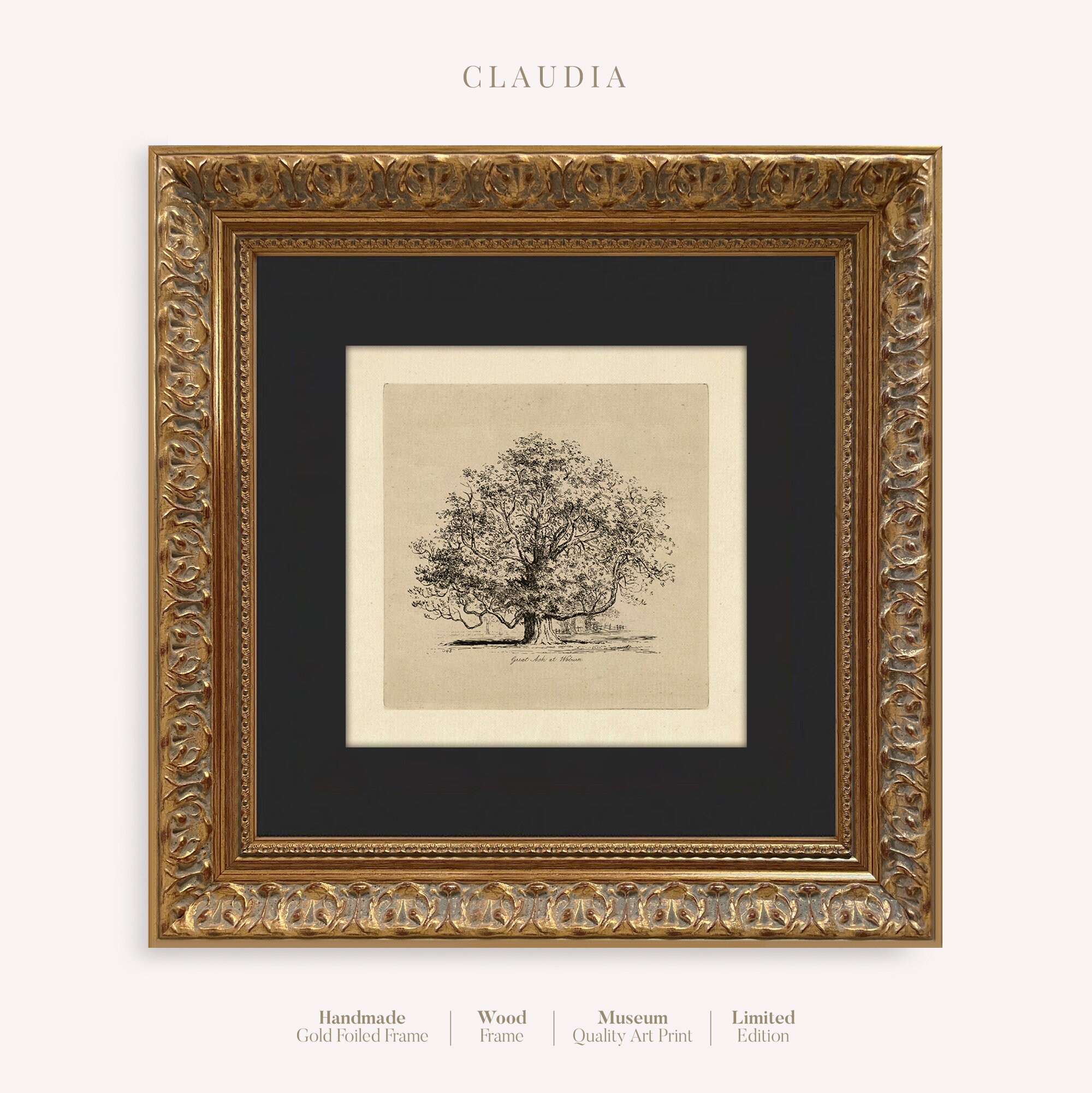 絵画 F6 tree 絵画 F6 tree 絵画 F6 tree F6 tree - メルカリ