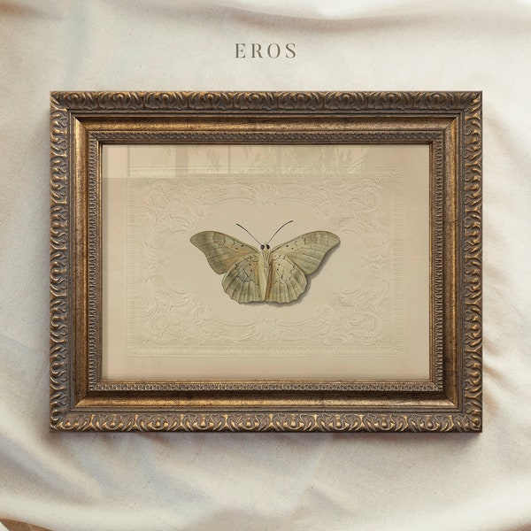 Vintage Art Framed, Butterfly Drawing, Antique Sketch, Vintage Nursery Prints, Ornate Gold Framed, Vintage Decor, Housewarming Gift #76