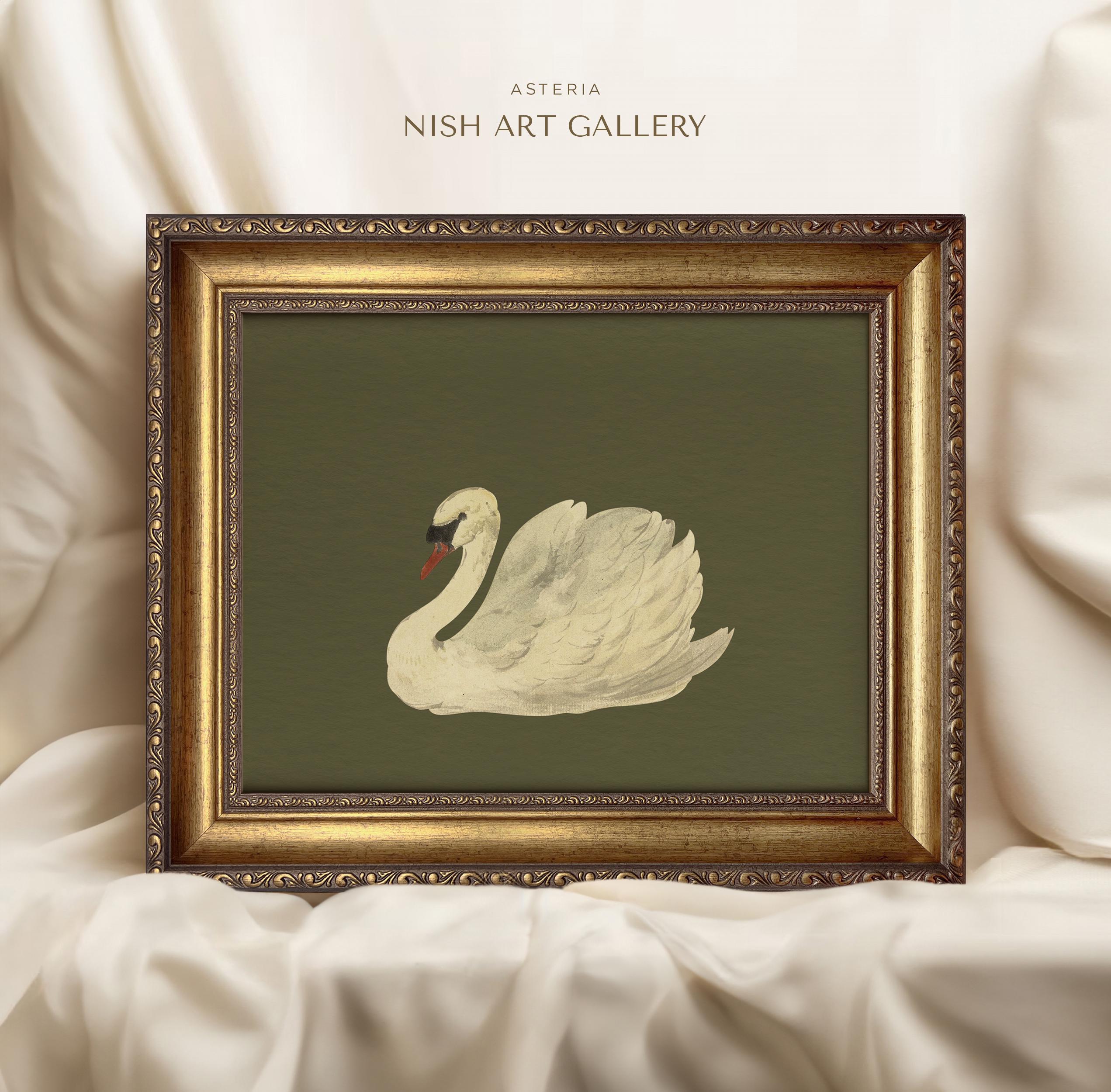 アートポスター　SWAN il_fullxfull.6544831071_j65z.jpg