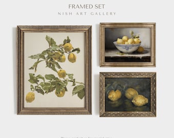 Keuken Wall Art Set, INGELIJST, SET VAN 3, Vintage Gallery Wall Set, Citroen Print Set, Stilleven Schilderij Print, Citrus Fruit Wall Art