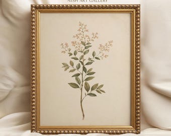 Flowering Branch Framed Print, Vintage Botanical Wall Art, Rustic Cottage Farmhouse Decor