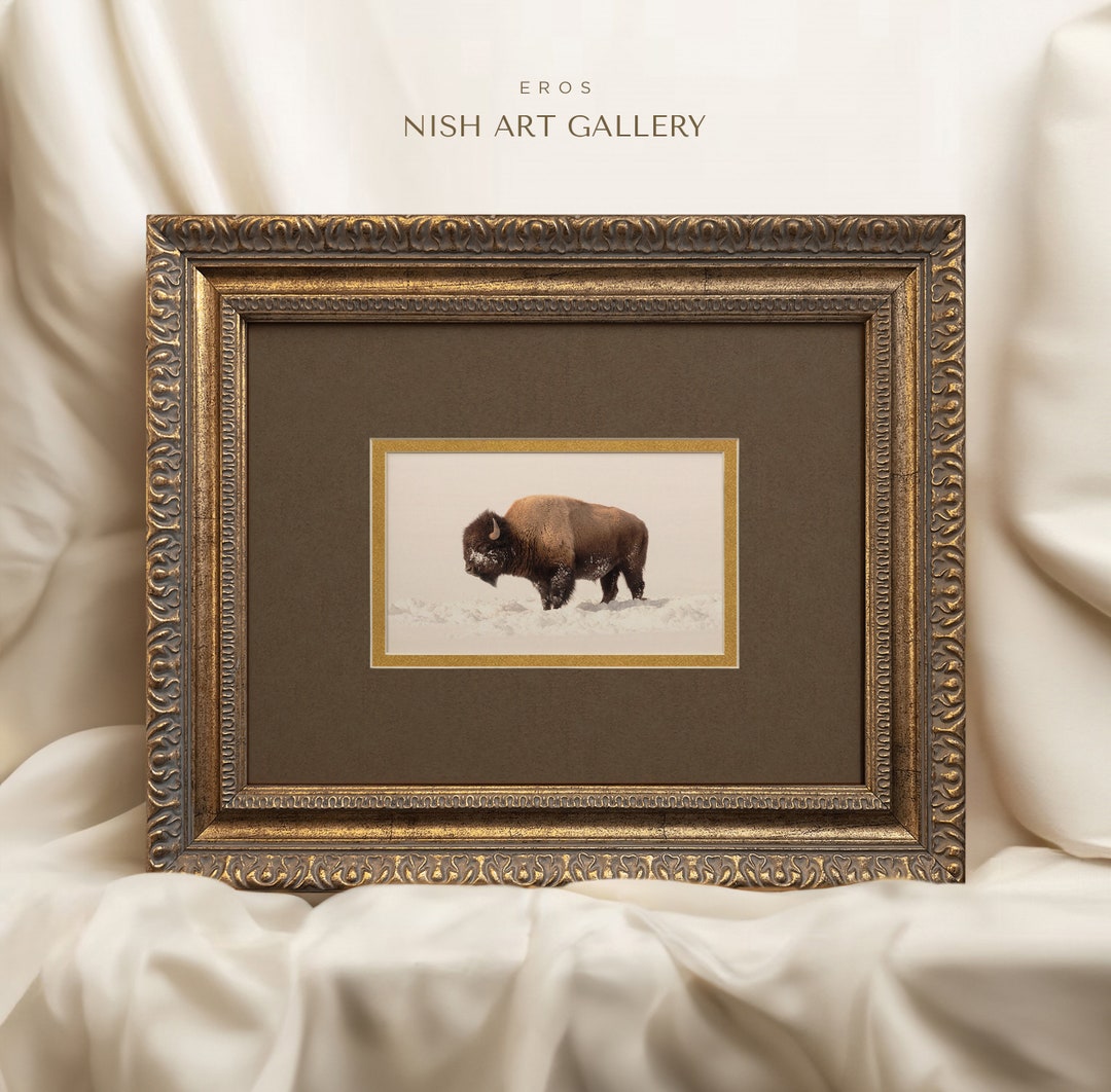 Framed Art With Double Matte, Vintage Brown Tones Bison Art Print ...
